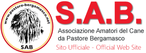 Pastore Bergamasco - S.A.B. Unica associazione riconosciuta