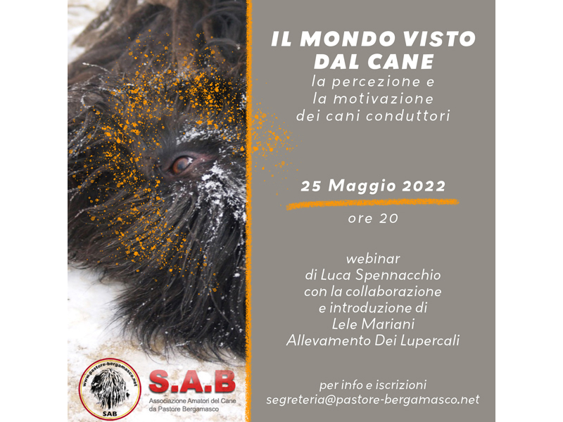 WEBINAR - IL MONDO VISTO DAL CANE - May 25th 2022 - 8pm ( Italian time )